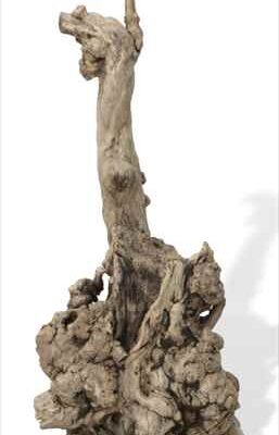 Scultura