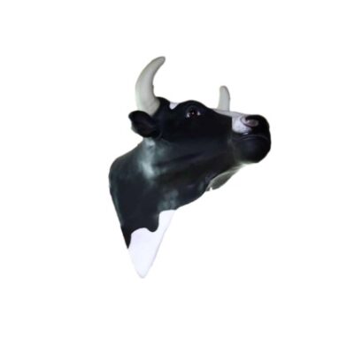Testa Mucca