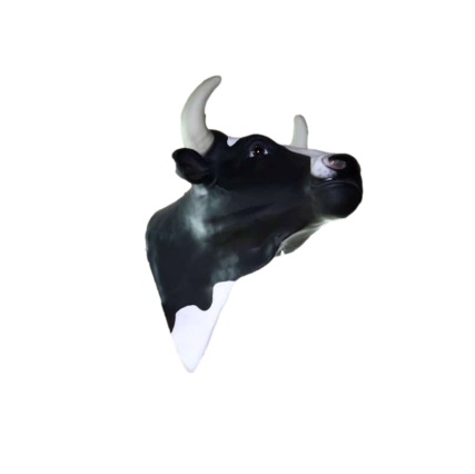 Testa Mucca