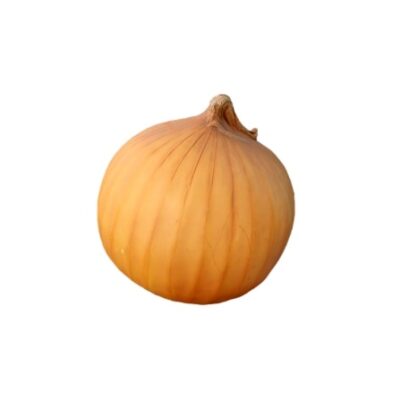 Cipolla