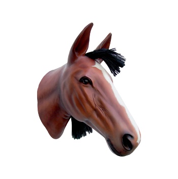 Testa Cavallo