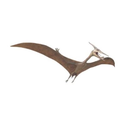 Pterodattilo