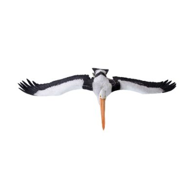 Pellicano